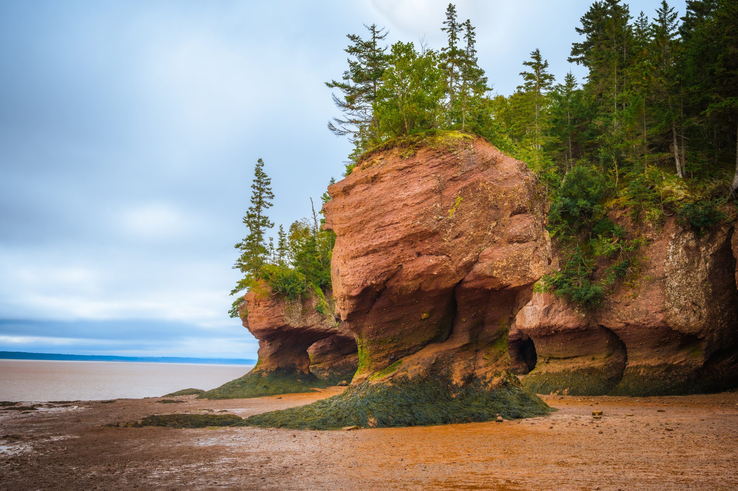 Bay of Fundy Geopark Georgian Bay Geopark